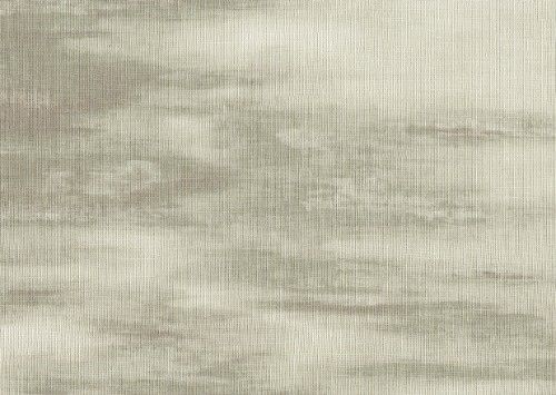 HookedOnWalls ARASHI  VIBRAZIONE 4820