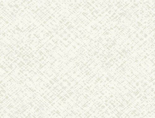 HookedOnWalls ARASHI  DISPERSIONE 4850