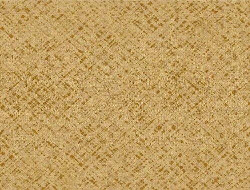 HookedOnWalls ARASHI  DISPERSIONE 4852