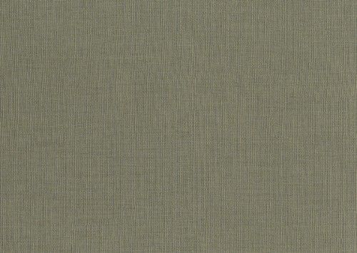 HookedOnWalls ARASHI  TELA 4862