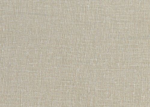 HookedOnWalls ARASHI  HAVANA 4881