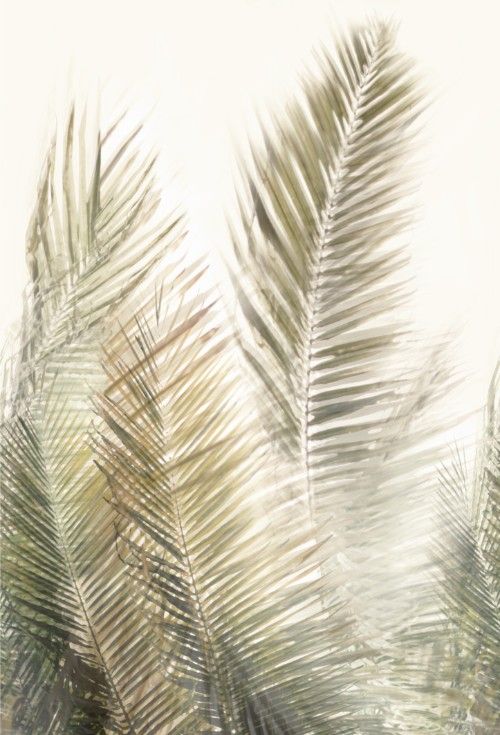 HookedOnWalls ARASHI  PANORAMIQUE 4894