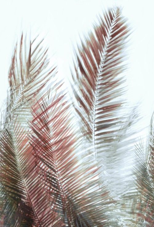 HookedOnWalls ARASHI  PANORAMIQUE 4895