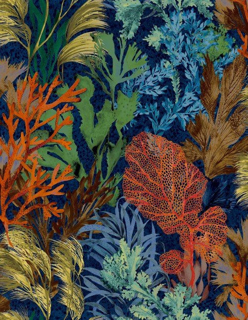 HookedOnWalls CARIBBEAN  BORA BORA 27216