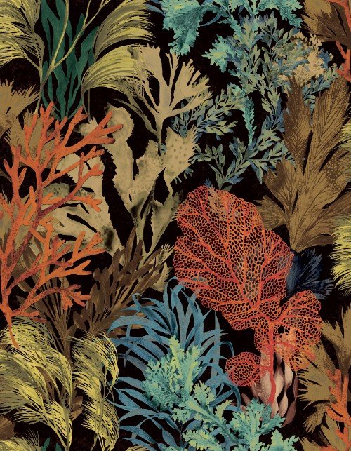 HookedOnWalls CARIBBEAN  BORA BORA 27220