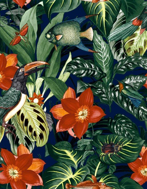 HookedOnWalls CARIBBEAN  PALAU 27225