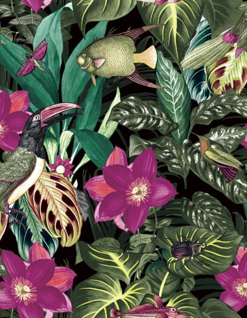 HookedOnWalls CARIBBEAN  PALAU 27226