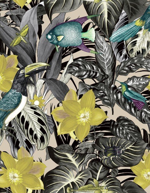 HookedOnWalls CARIBBEAN  PALAU 27227