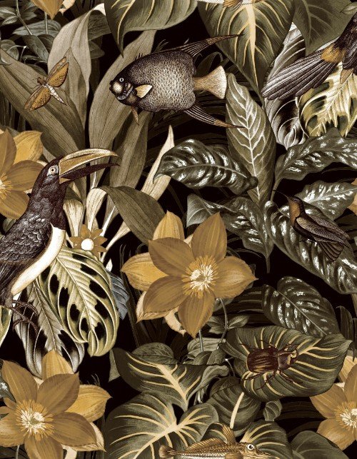 HookedOnWalls CARIBBEAN  PALAU 27228