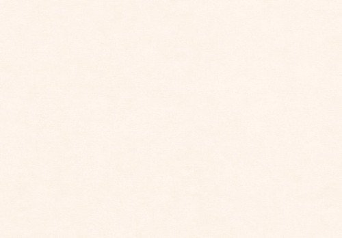 HookedOnWalls CARIBBEAN  BALI 27256