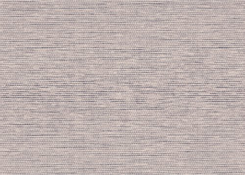 ARTE - L'INVITE - 60500