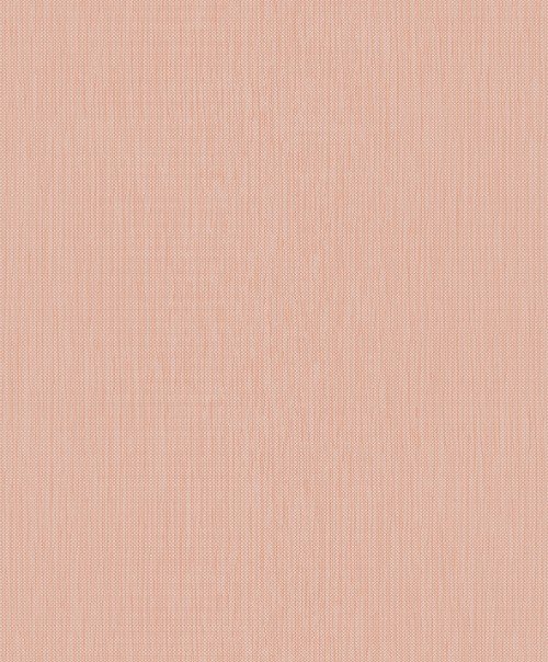 HookedOnWalls EXOTIQUE MERU 17202