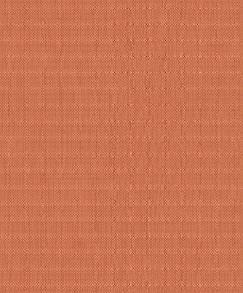 HookedOnWalls EXOTIQUE MERU 17206