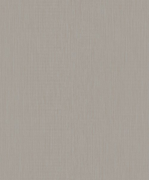HookedOnWalls EXOTIQUE MERU 17207