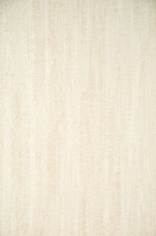 ARTE - FLAMANT LES MINERAUX - 50000