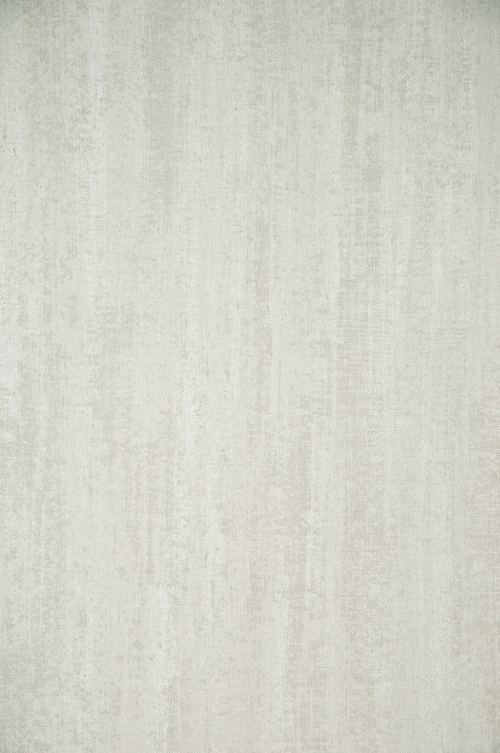 ARTE - FLAMANT LES MINERAUX - 50010