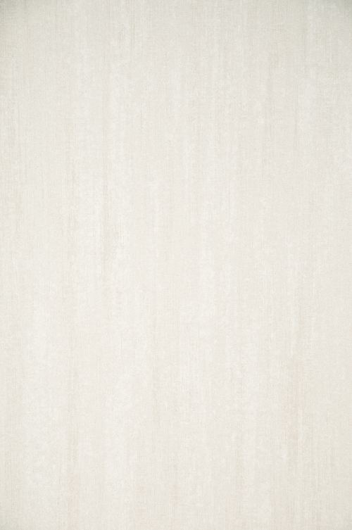 ARTE - FLAMANT LES MINERAUX - 50016