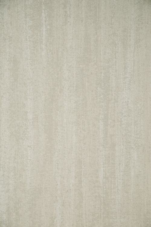 ARTE - FLAMANT LES MINERAUX - 50017