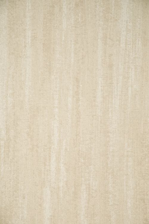 ARTE - FLAMANT LES MINERAUX - 50018