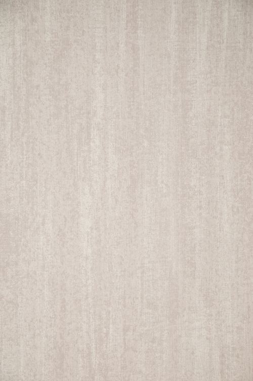 ARTE - FLAMANT LES MINERAUX - 50021