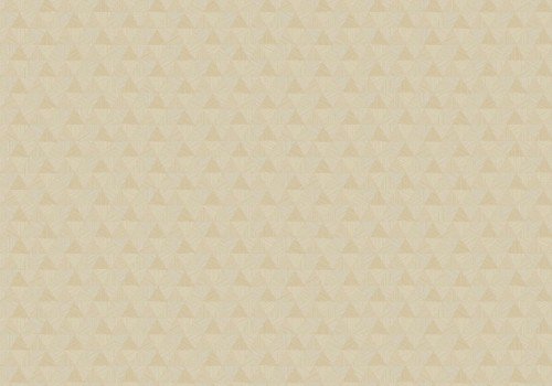 HookedOnWalls JV 602 JAIPUR  TRIANGLES TROPICALES 6831