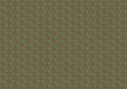 HookedOnWalls JV 602 JAIPUR  TRIANGLES TROPICALES 6834