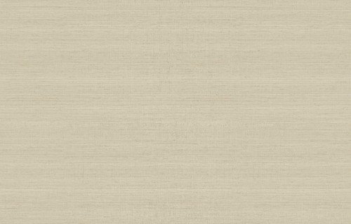 HookedOnWalls JV 602 JAIPUR  UNI SOIE TROPICAL 6842