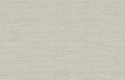 HookedOnWalls JV 602 JAIPUR  UNI SOIE TROPICAL 6849