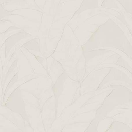 _Musa_75001A_Packshot