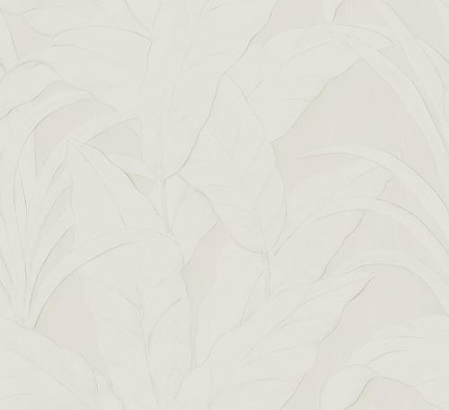 _Musa_75001A_Packshot