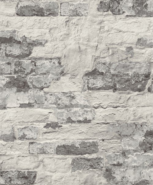 HookedOnWalls VOYAGE  PRINT 92540